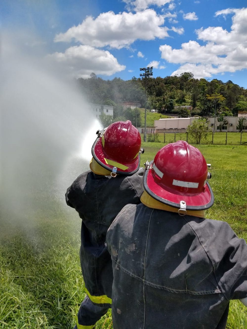 bifzan1ea3pv_ZEN 2020 (1).jpg